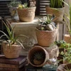 Multi Functional Storage Basket Seaweed Woven Flower Pot Rattan Woven Plant Green Plant Cover Pot Home Decoration Flower Pot Flo 5