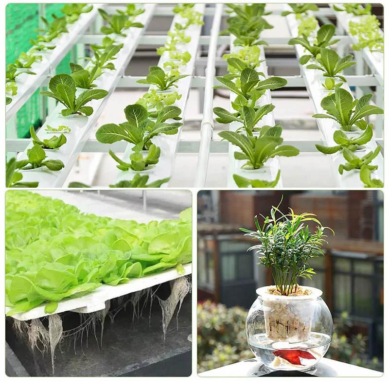 50Pcs Hydroponic Plant Pots Nursery Grow Net Cup Veg Soilless Grow