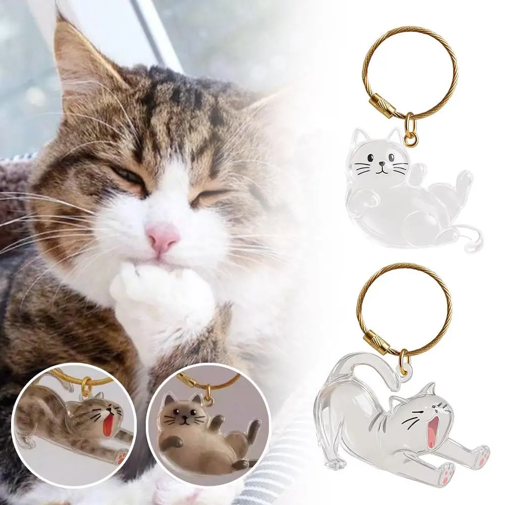 새로운 투명 애완동물 털 보관함, 고양이 & 강아지 털 보관 캡슐 가방, 귀여운 키체인 가방 펜던트, 감성적인 애완동물 기념품