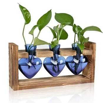 Heart Glass Hydroponic Vase 1