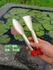 *Soil digging tip shovel Flower gardening shovel Stainless steel flat head shovel Small integrated molding household 6