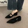 2025 New Winter Cotton Women Mary Jane Shoes Fashion Shallow Pointed Toe Shoes Concise Square Heels Shoes Luxury Low Heel