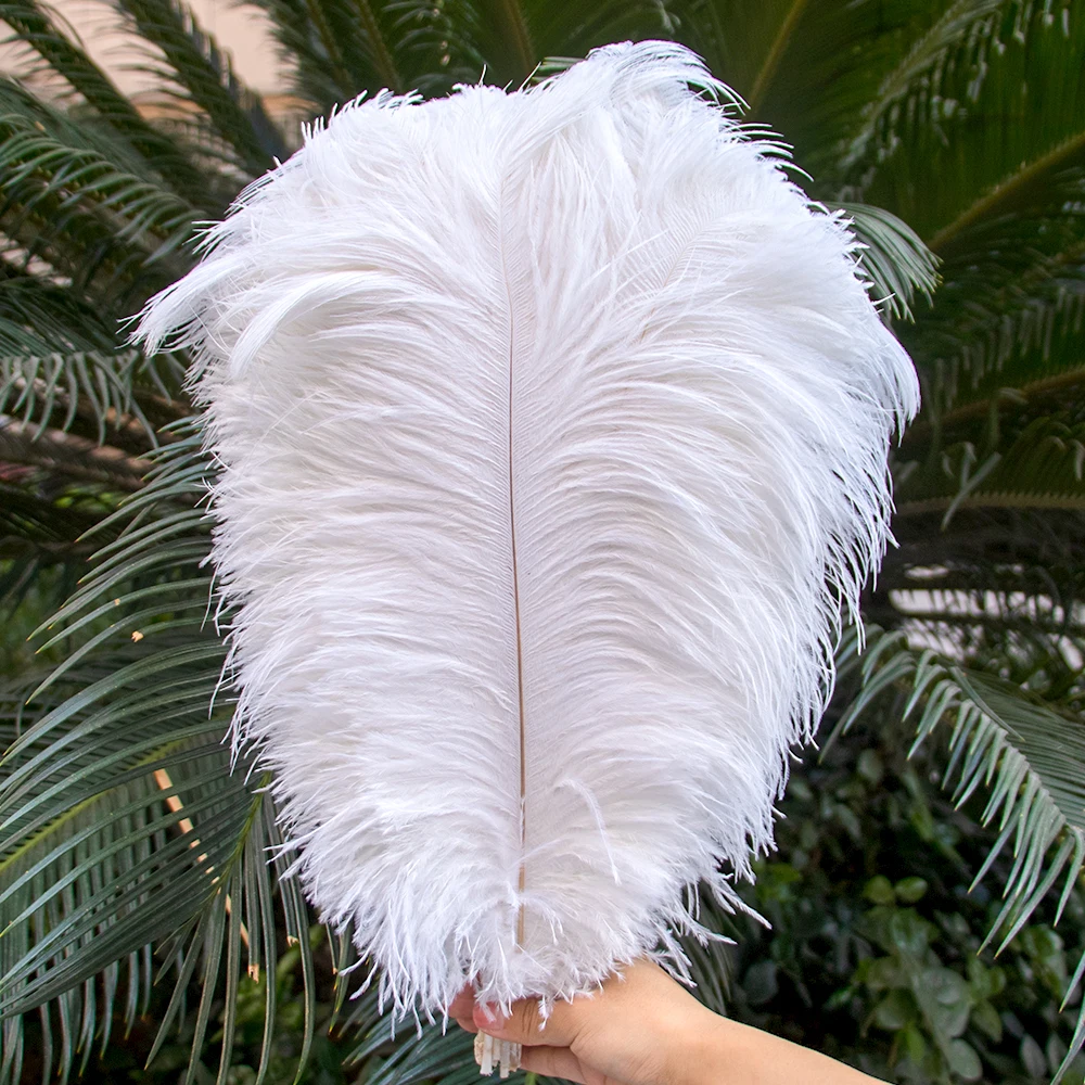 Wholesale Beautiful White Ostrich Feathers Bulk 15-55cm Diy Crafts Wedding  Party Dress Handmade Home Decor Lamp Plumes Accessory - AliExpress