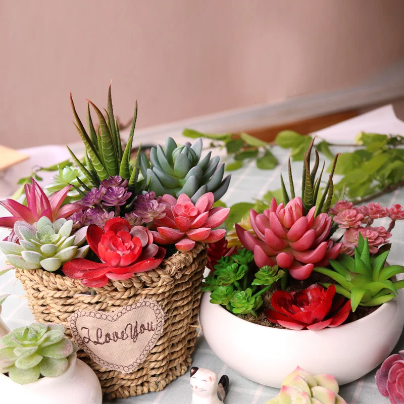 Vibrant Multicolor Flocking Succulent Plants