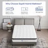 12 Inch Queen Size Hybrid Mattress - Medium Firm, Memory Foam & Pocket Springs, Motion Isolation, Edge Support, Pressure Relief 5
