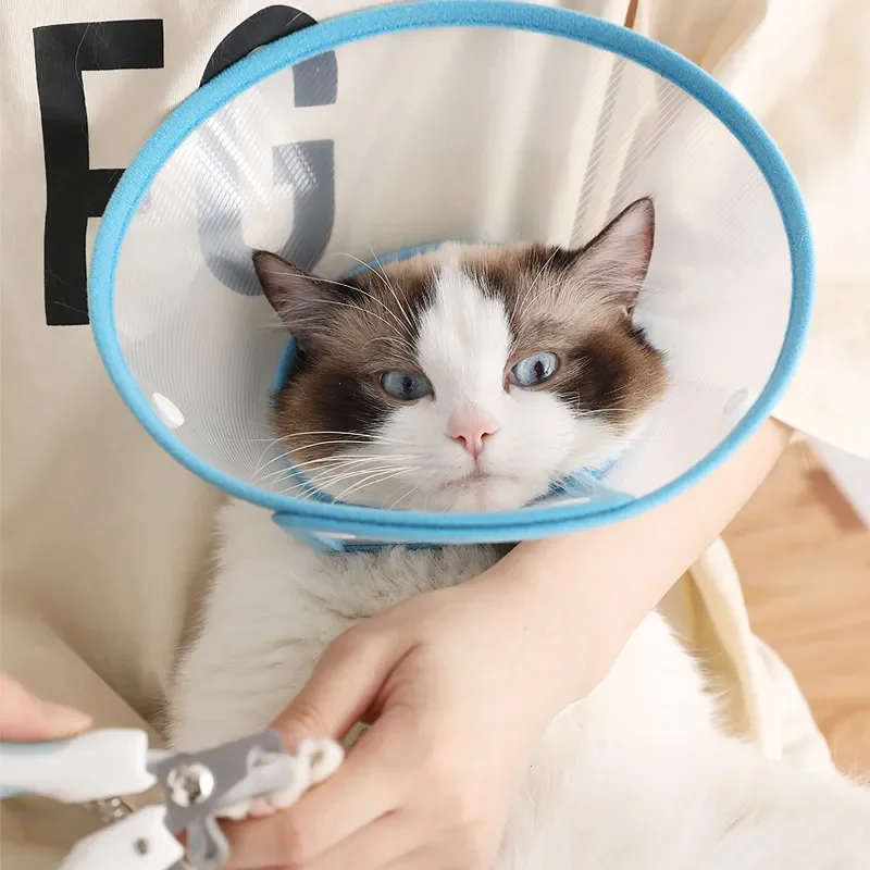 

Topets 2020 Pet Collar Dog Supplies Neck Collar Cats Dogs Collar Cat Anti-Bite Licking Headgear