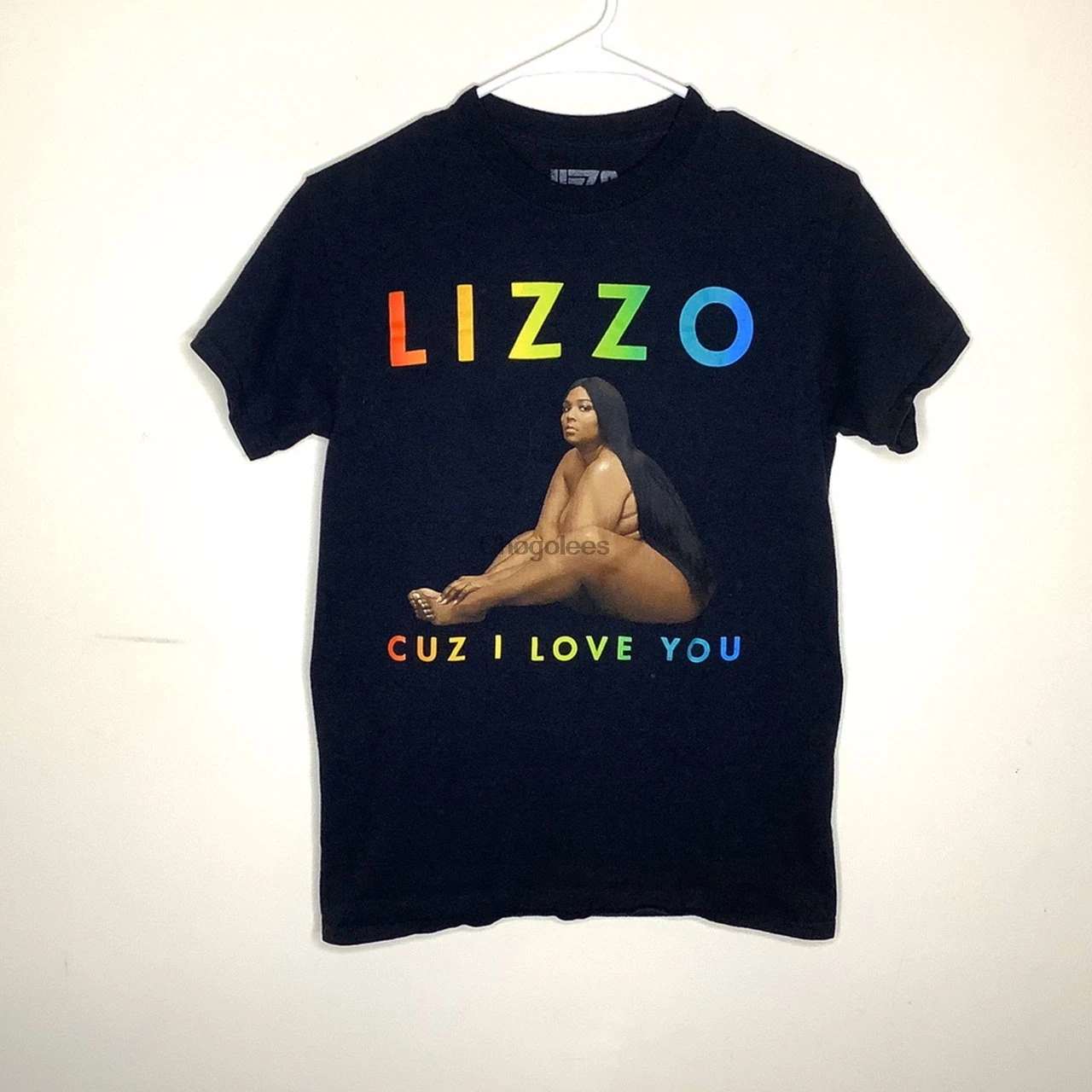 paytonsprettypicks lizzo merch tee perfect condition |