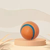 Durable Squeaky Dog Toy Bouncing Ball for Chewing Training and Interactive Play Pet Supplies Interactive Ball for A Dog 2