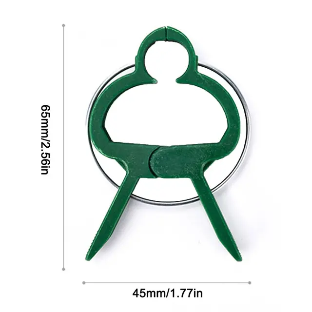 L 50 pcs