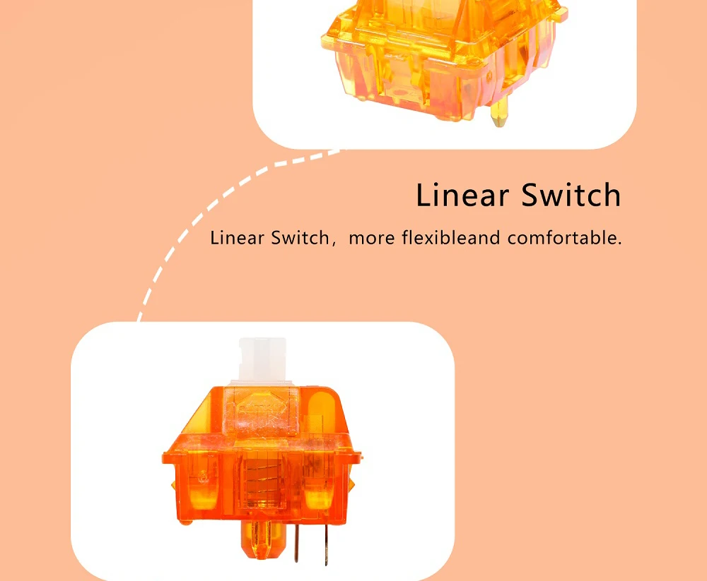 Computers e Electronics