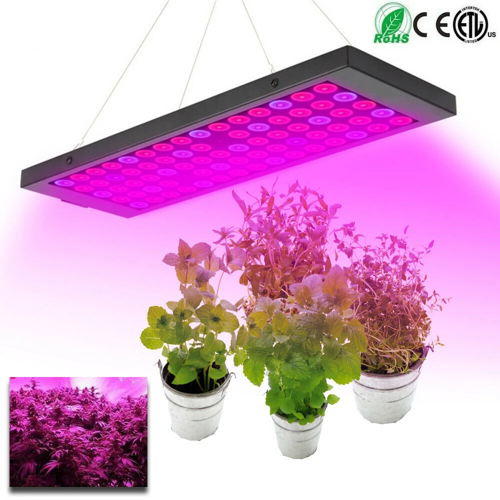 50W 100W LED Grow Light Lamp Full Spectrum Veg Flower Pflanzenlampe Gewächshaus 