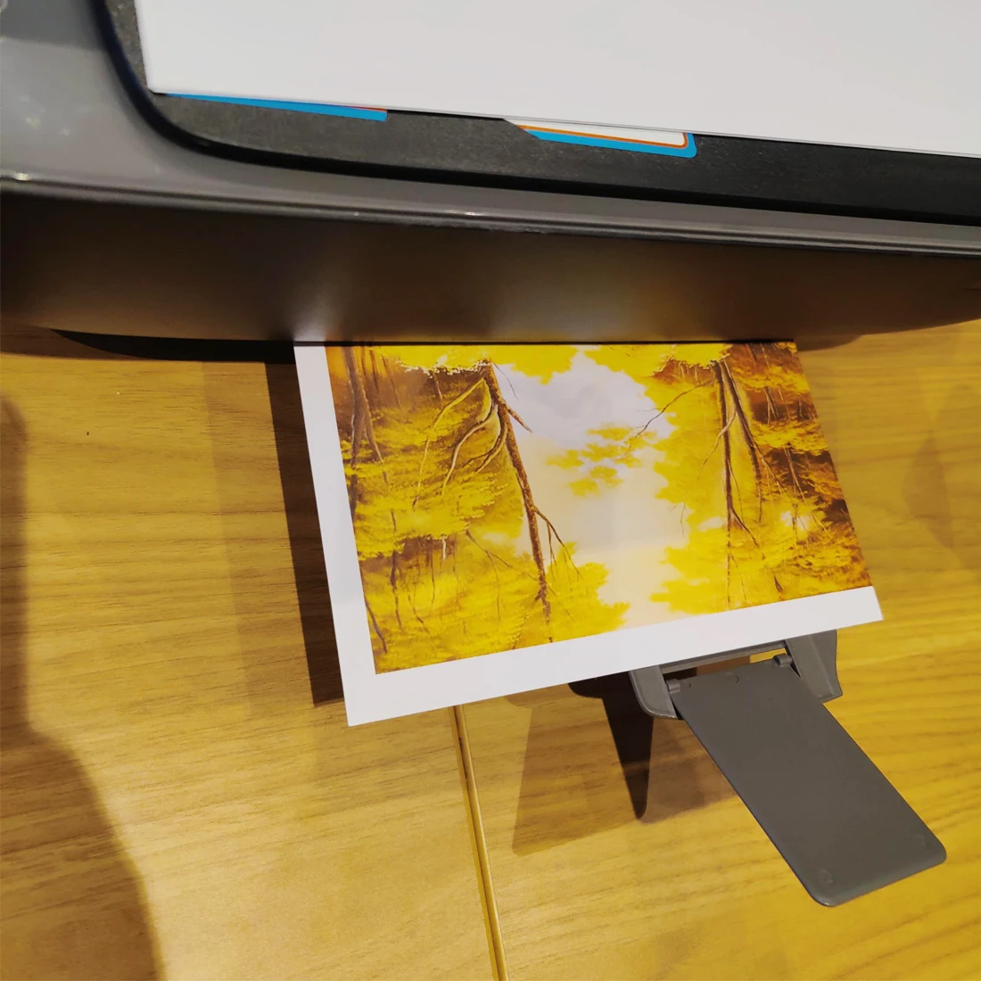 Photo Printing Paper Photo Paper MOTARRO High Color Density Photo Paper Picture Inkjet Printing High Resolution Images Printer 20 Sheets 8.3*11.7 Inch