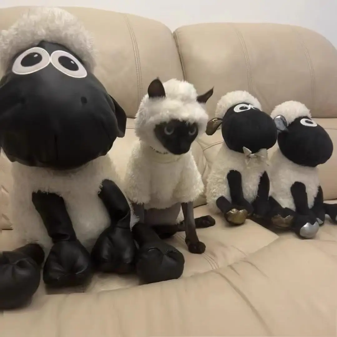 شون ذا لامب ملابس القط بدون شعر للخريف والشتاء ملا...