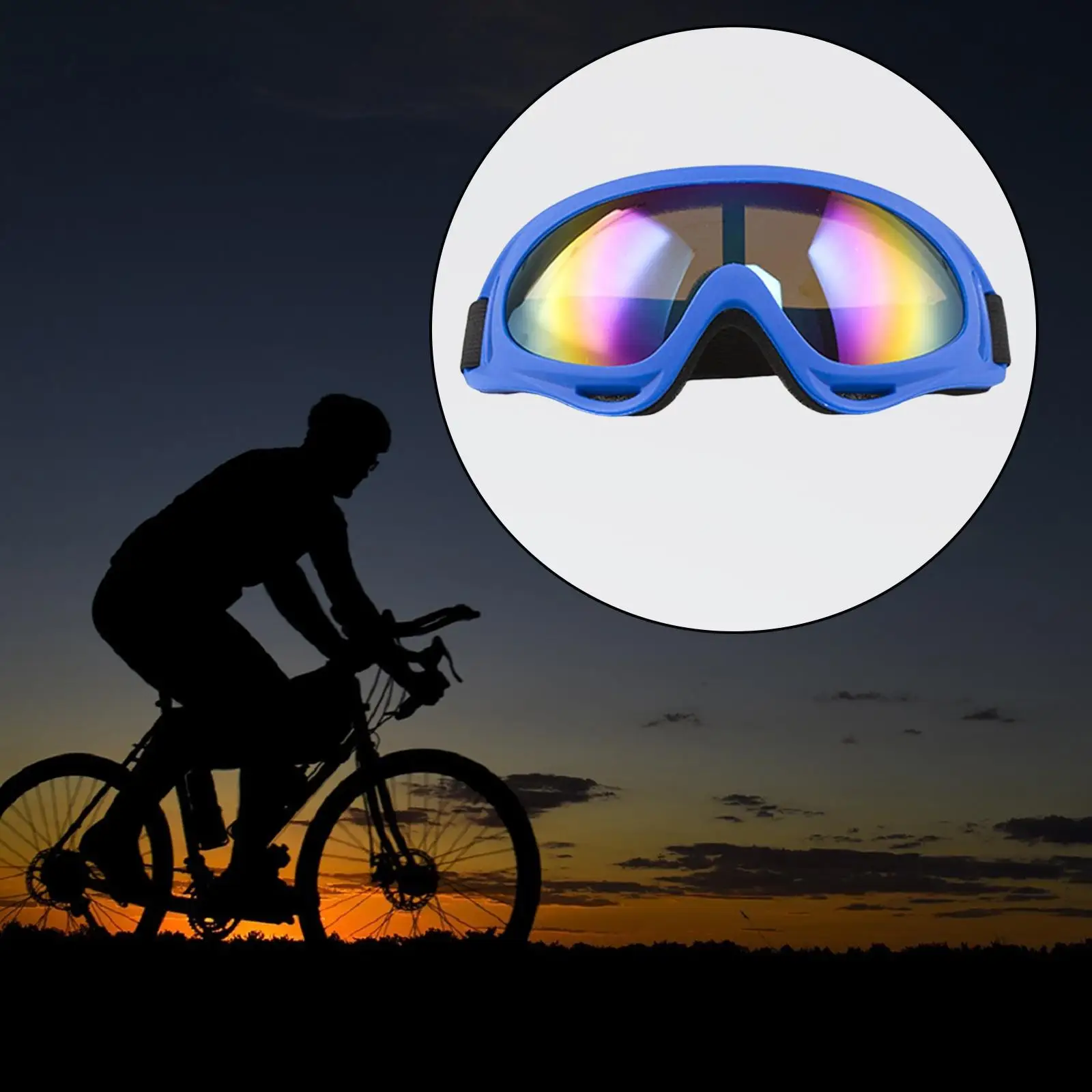 Winter Snow Sports Ski Goggles Windproof Eye Protection Anti Fog Adjustable