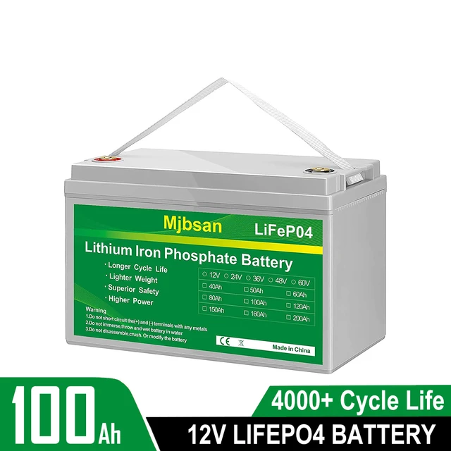 100Ah 12V Lithium Batterie LiFePO4 Akku BMS Solarbatterie Solaranlage Boot  RV