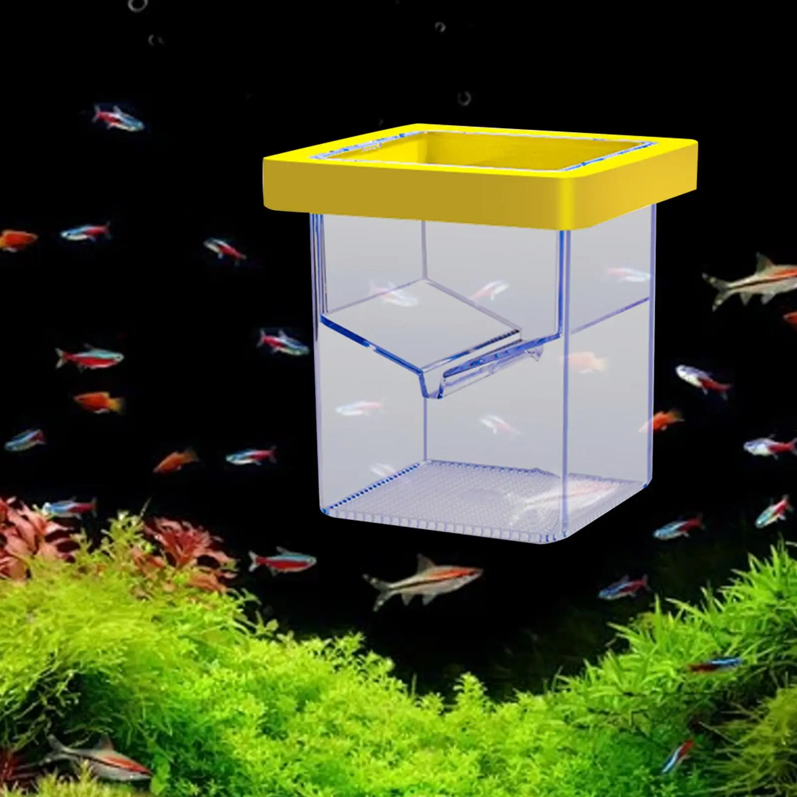 Aquarium Breeder Box Fish Isolation Box Floating Aquarium Breeder Feeder Hatchery Hatching Box for Guppy Fish Shrimp Betta