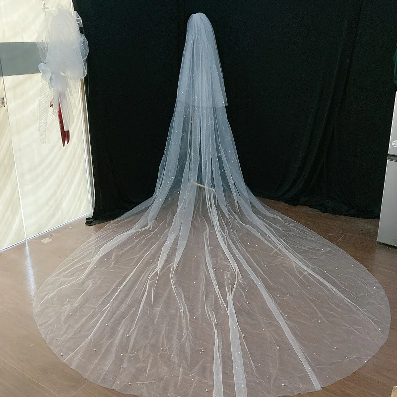 https://ae01.alicdn.com/kf/Sc4066de2b7a542bd842992e08d4f2757R/Pearls-Glitter-Long-Bridal-Veils-with-Comb-2-Layers-3-5-Meters-Cathedral-Wedding-Veil-White.jpg