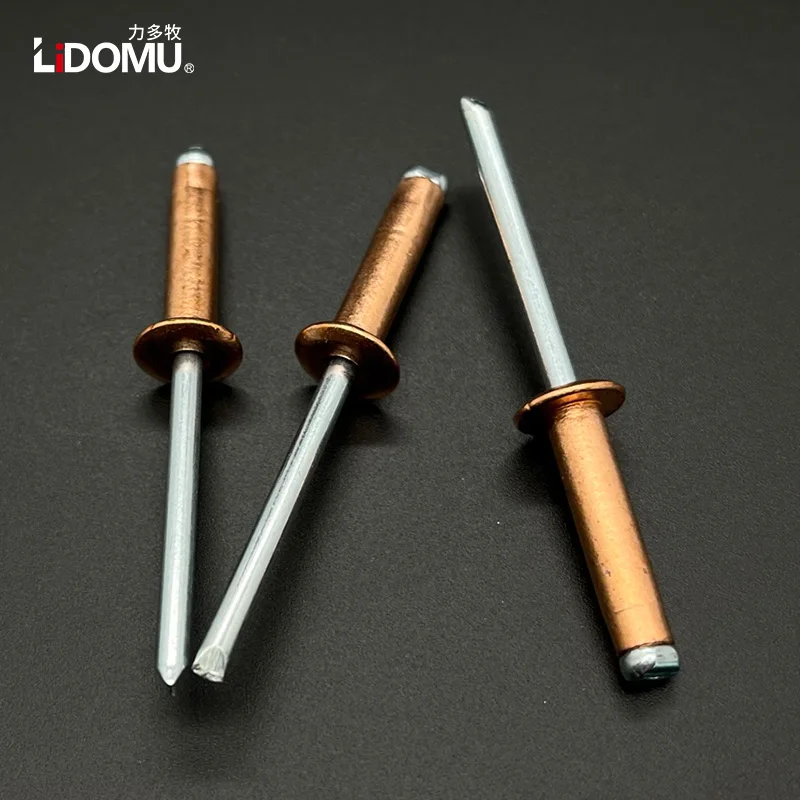 30/50pcs Copper Blind Rivet rivets and fasteners rivets and screws Dome Head Open Type Anticorrosive Bronze Brass Rivets
