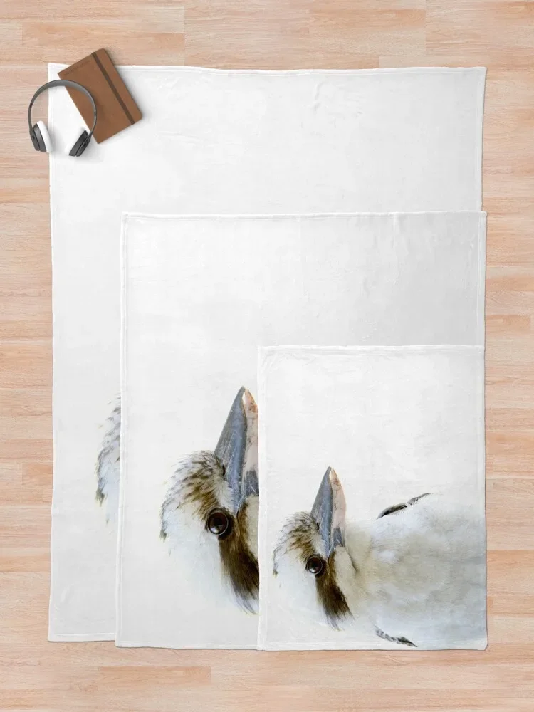 Kookaburra ̴  , Ŵ  ħ,  