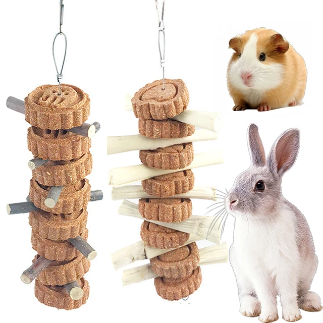 View of Guinea Pig Chew Sticks