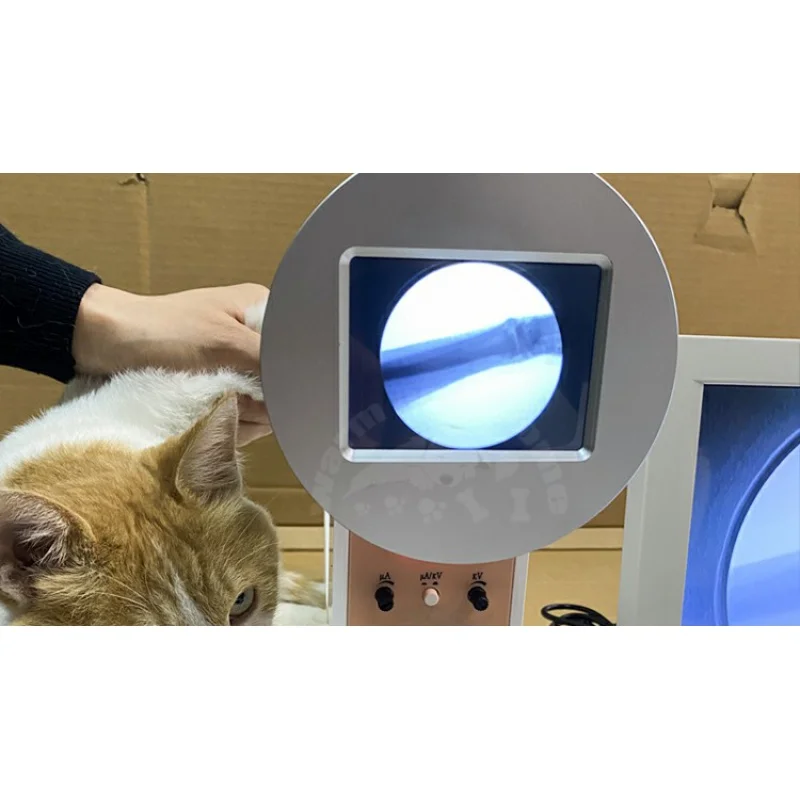 CE approved portable digital floroscope X ray machine portable fluoroscopy with pedal