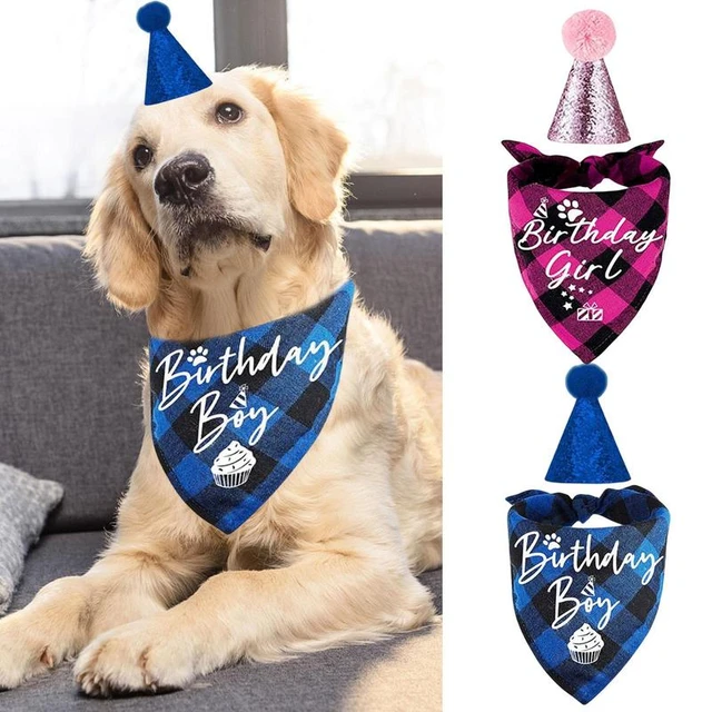 Cute Dog Birthday Outfit With Dog Birthday Hat Bandana Dog