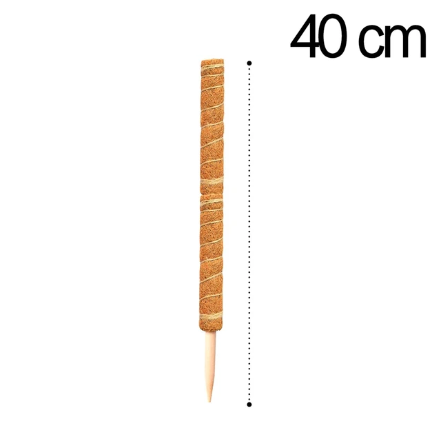 40cm