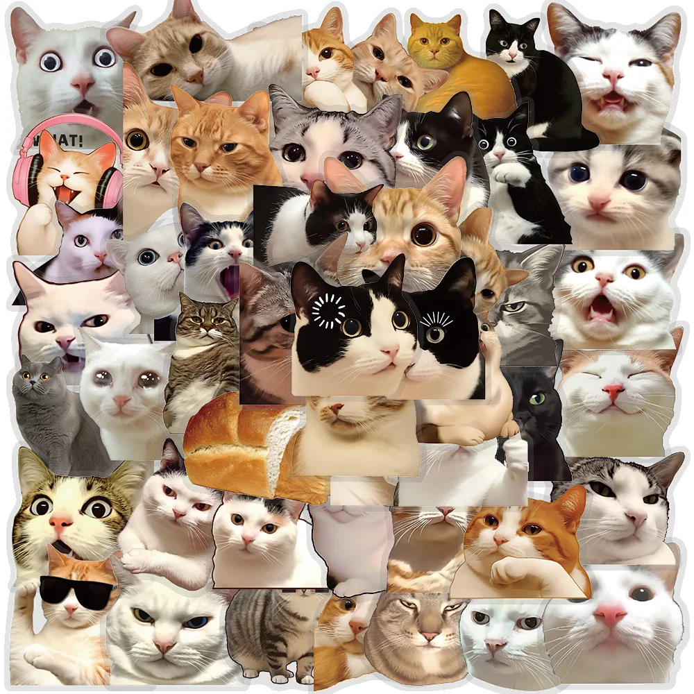 50Pcs Cute Funny Cat Stickers Meme Animal Decals Adorable Kitty Vinyl ...