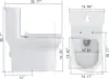 Dual Flush Elongated Standard One Piece Toilet with Comfortable Seat Height Powerful & Quiet Dual Flush Modern Toilet 5