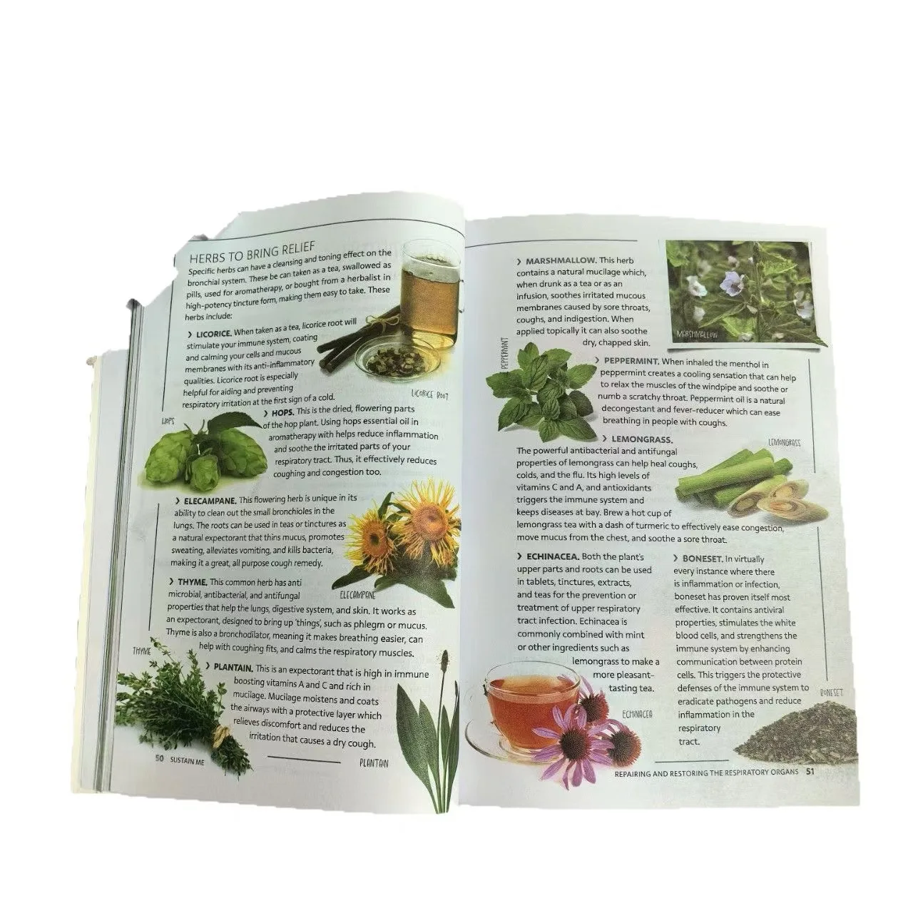 2‑Pack Natural Remedies Books, Sustain Me + The Holistic Home Apothecary, Herbal Wellness Guide Book for Daily Health Care Book