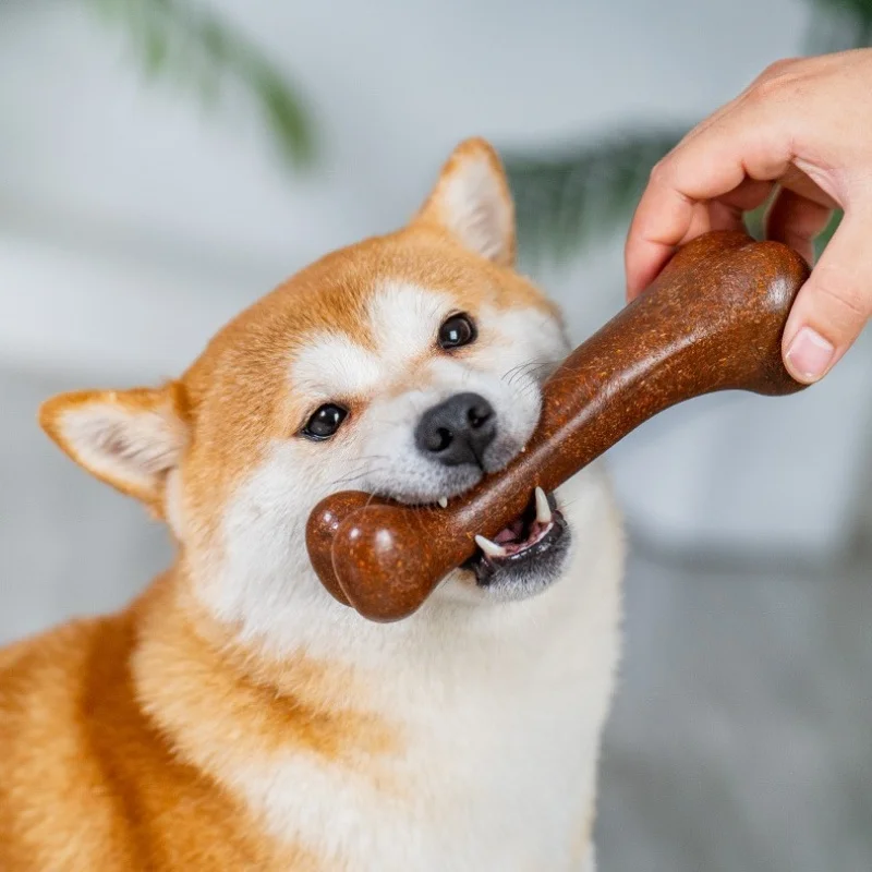 Natural Non-toxic Dog Bone Chew Toy For Small Medium Large Dogs_voghion.com