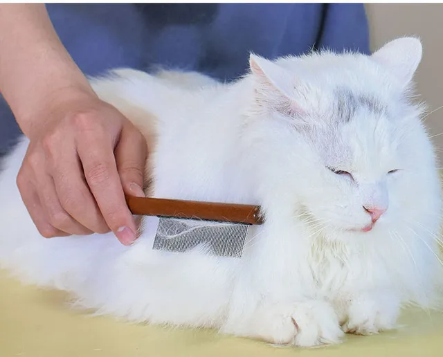 Pettine Antipulci Per Cani E Gatti - 2 Pezzi In Acciaio Inossidabile Per Pelo Lungo - Foto 7