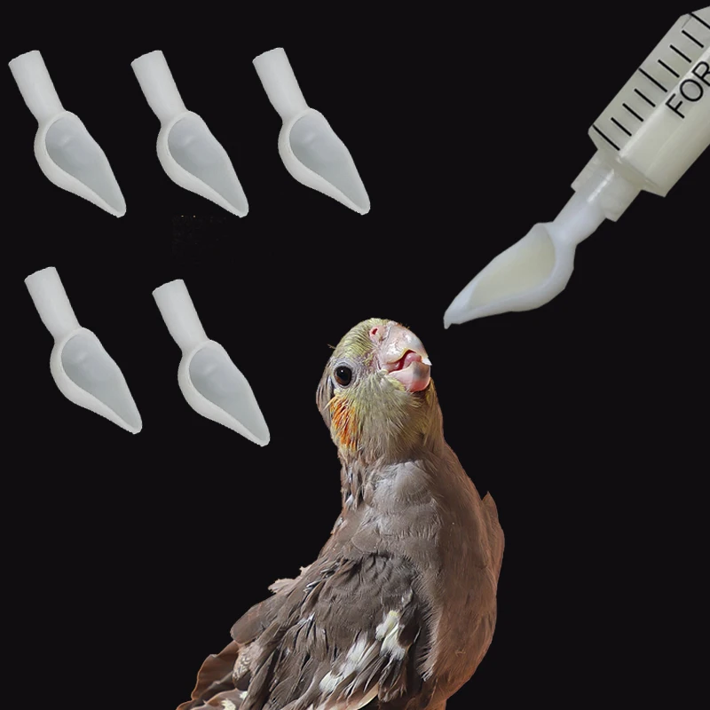 Bird Parrot Feeder Spoon Baby Milk Medicine Feeding Tools Supplies Baby Food
