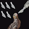 Bird Parrot Feeder Spoon Baby Bird Milk Medicine Feeding Tools Baby Bird Feeding Spoon Bird Supplies 1