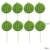 24pcs watermelon