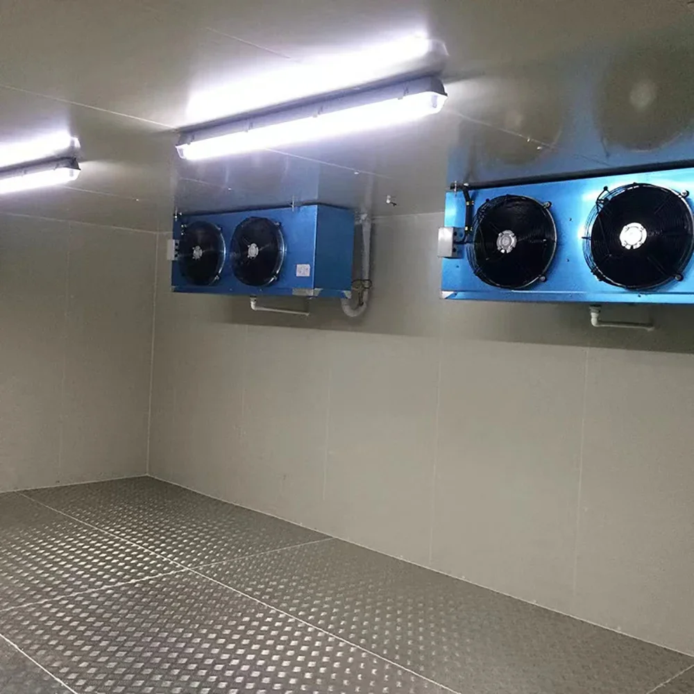 Low Noise Low Temperature Small Cold Room Refrigeration unit Cold Storage Room for Fish Manufacturers - Image 5