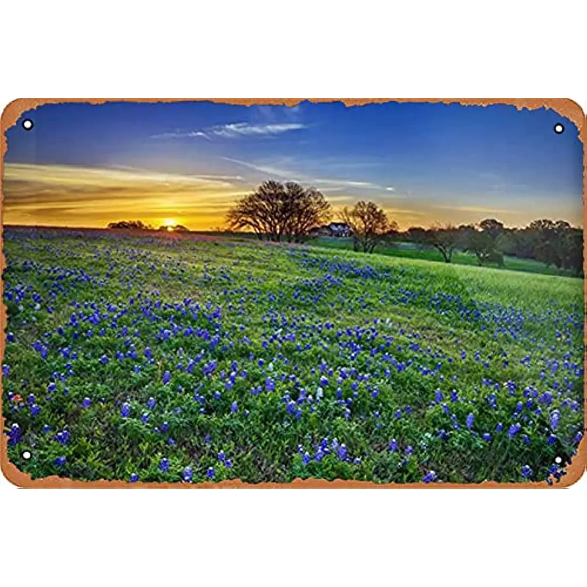 

New Texas, Bluebonnet Field at Sunrise Vintage Metal Sign Retro Decor Art room decor posters vintage farmhouse decor