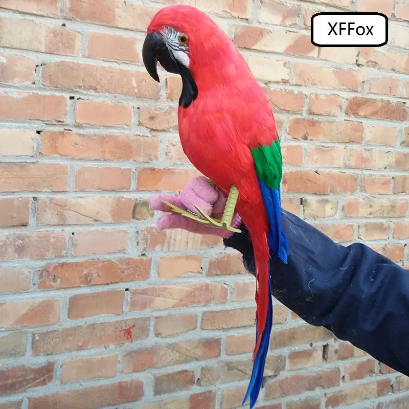 

big real life parrot model foam&feather red parrot doll gift about 60cm d0180