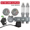 Dual module-AU plug