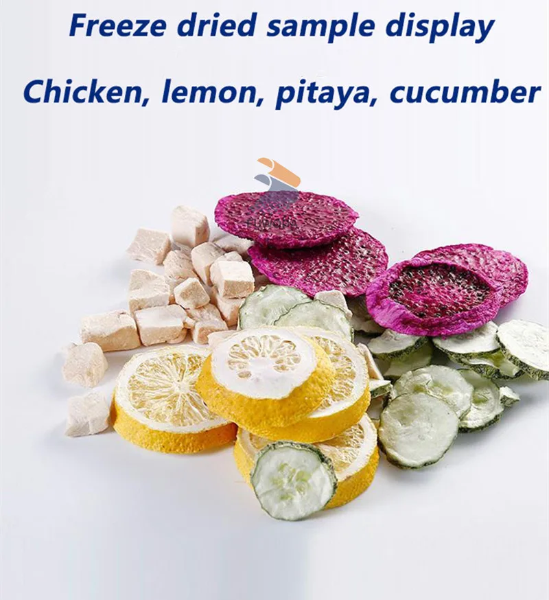 Vegetables Fruit Vacuum Freeze Dryer Mini Lyophilizer Food Freeze Drying Food Dehydrator For Household