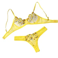 Ensemble soutien-gorge et culotte en dentelle pour femmes, sous-vêtements sexy, push up, broderie de fleurs, 7.0 1