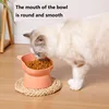 New Elevated Cat Bowls Stress Free Feeder and Waterer with Base Anti-Vomiting Tilted Raised Nonslip No Spill Dropship Pet Bowls 2