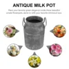 Metal Milk Jug Planter Child Water Pitcher Decorative Rustic Vase Galvanized Sheet Flower Pot 2