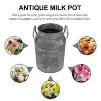 Metal Milk Jug Planter Child Water Pitcher Decorative Rustic Vase Galvanized Sheet Flower Pot 2