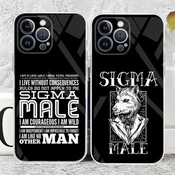 시그마 남성 휴대폰 케이스, 아이폰 14, 12, 13, 11 프로 맥스, 미니 X, XR, XS 맥스, 7, 8 플러스용 투명 커버, 2023 신제품