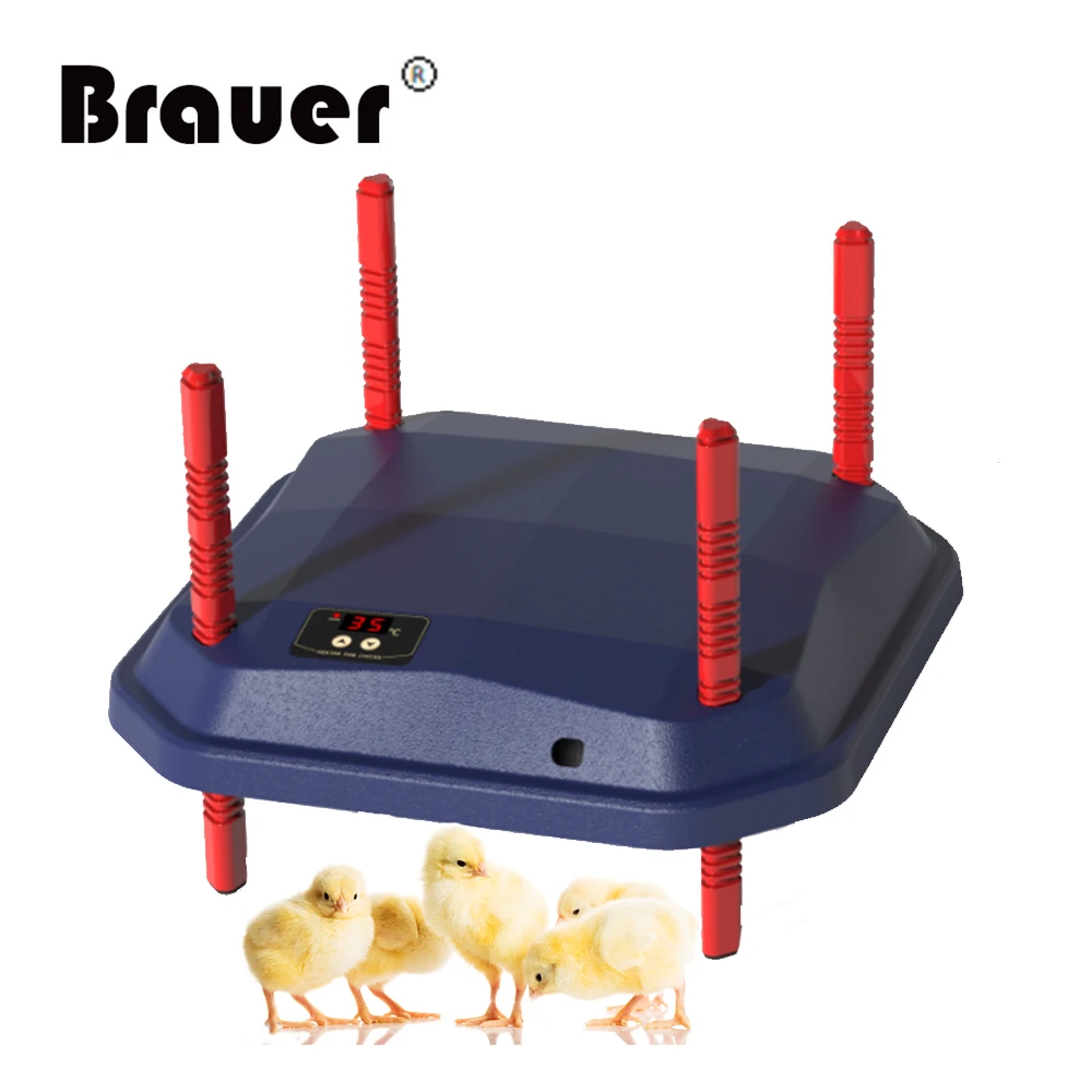 Electric Chick Brooder Heating Plate Adjustable Height Chick Cage ...