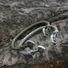 Norse Thor Hammer Thunder Torque Viking Bracelet Men Cuffs Bangles For Women Accessories 4