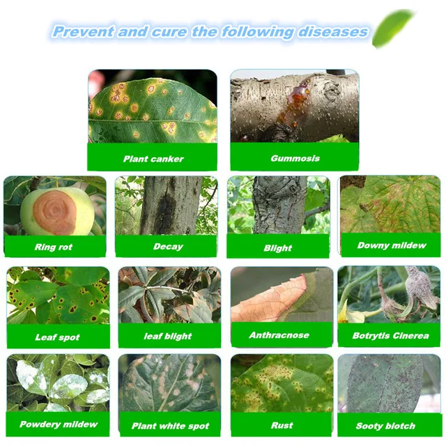 80 Gramm Fungicidek Ellenőrzése Alatt Állnak A Családi Kertek Zöldség-, Gyümölcs- És Virágokból - Image 4