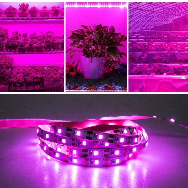 Dc 5V Usb Led Grow Light Teljes Spektrum 0,5-3M Növényi Fénynövekedés Csoport Phyto Lapp Zöldség Virág Palántához Növekszik - Image 6