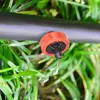 2L 4L 8L Dripper Irrigation 3/5mm Hose 2/4-Way Connector Water Splitter Emitter Drip Arrow Micro Drip System Garden Accesorries 5